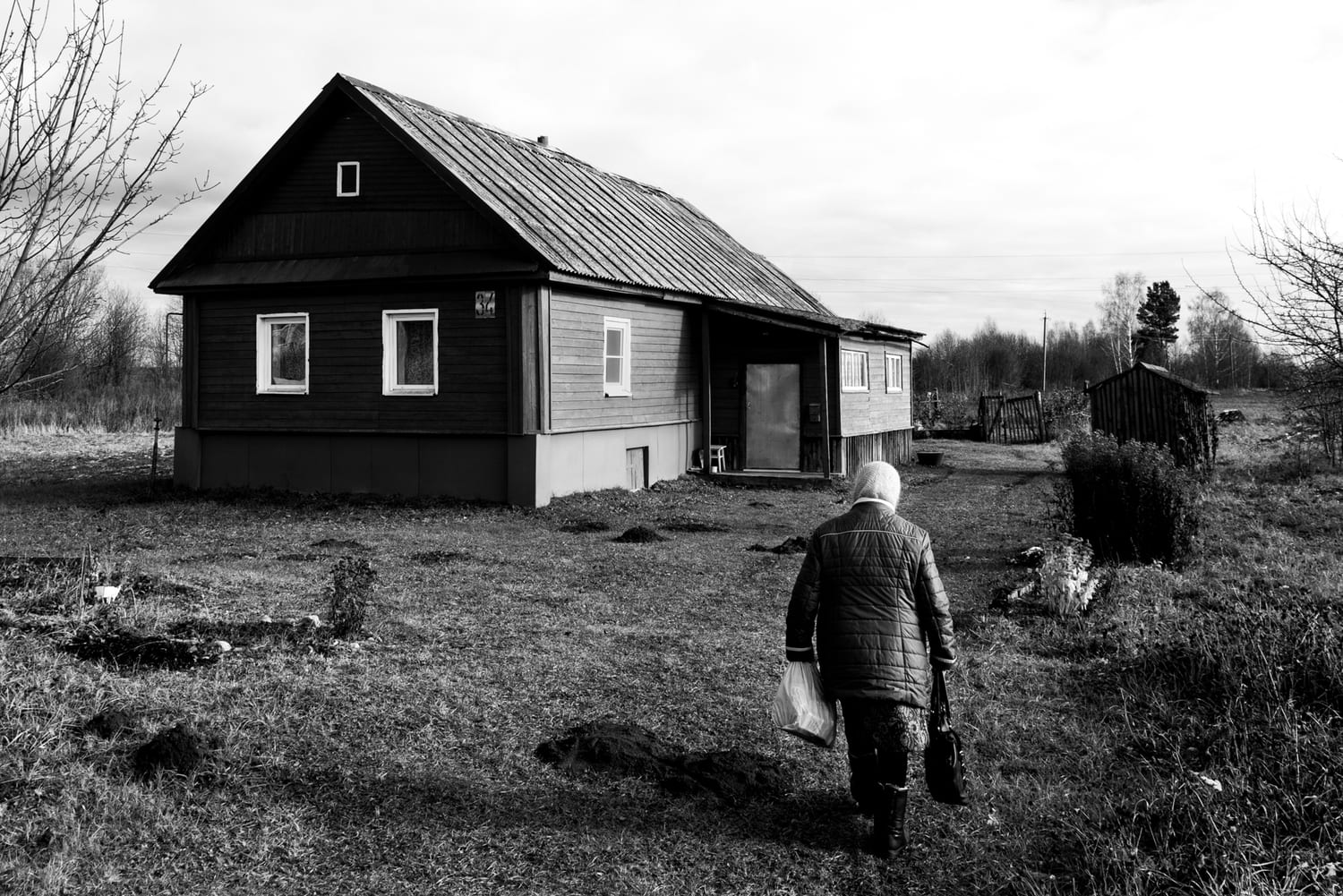 Фото: Новая вкладка