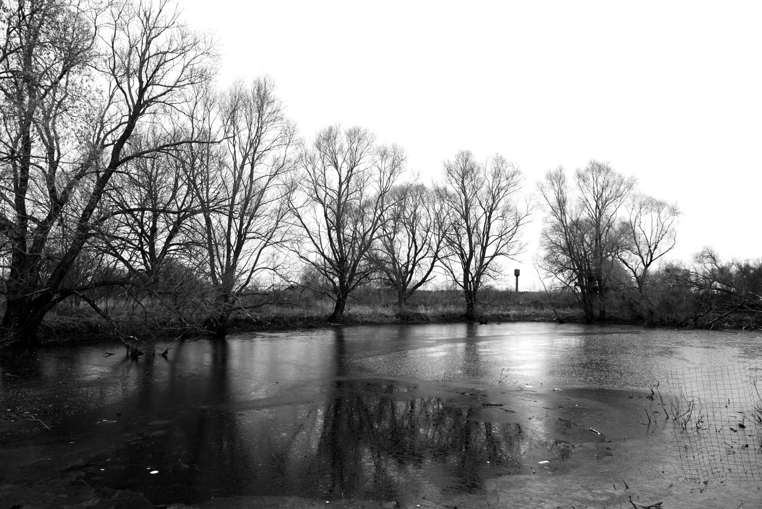 Фото: Новая вкладка