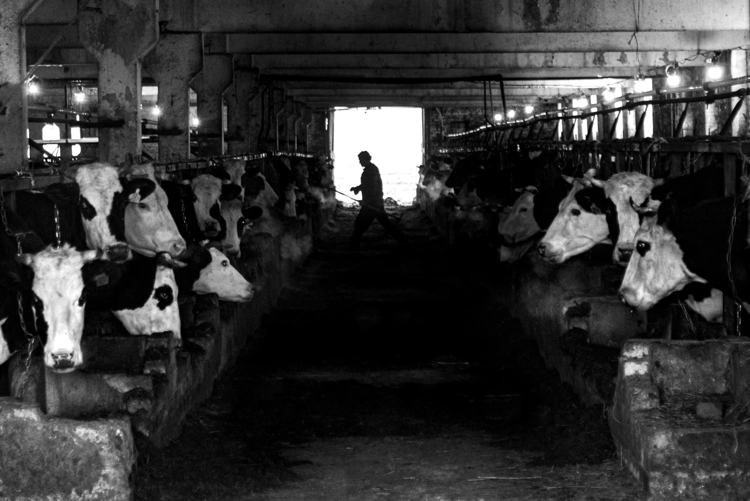 Фото: Новая вкладка