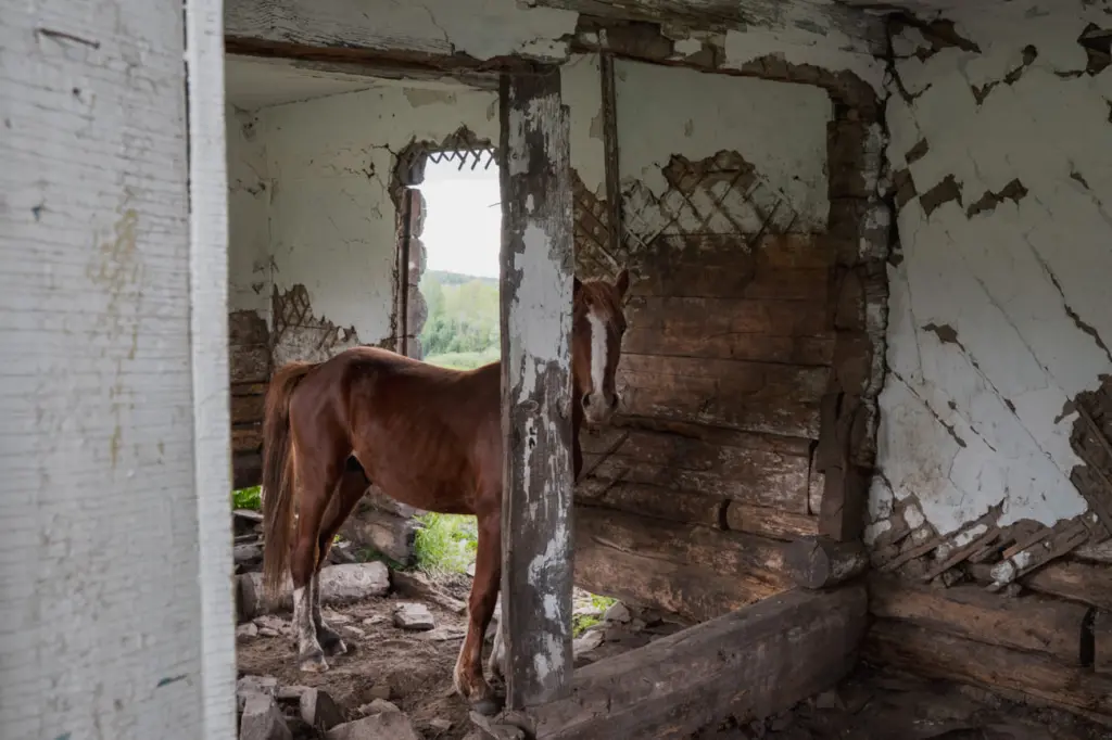 Фото: Новая вкладка
