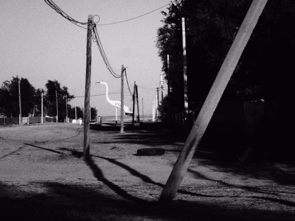 Фото: Новая вкладка