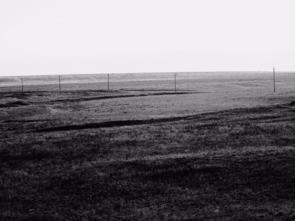 Фото: Новая вкладка