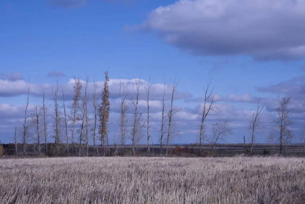 Фото: Владимир Севриновский
