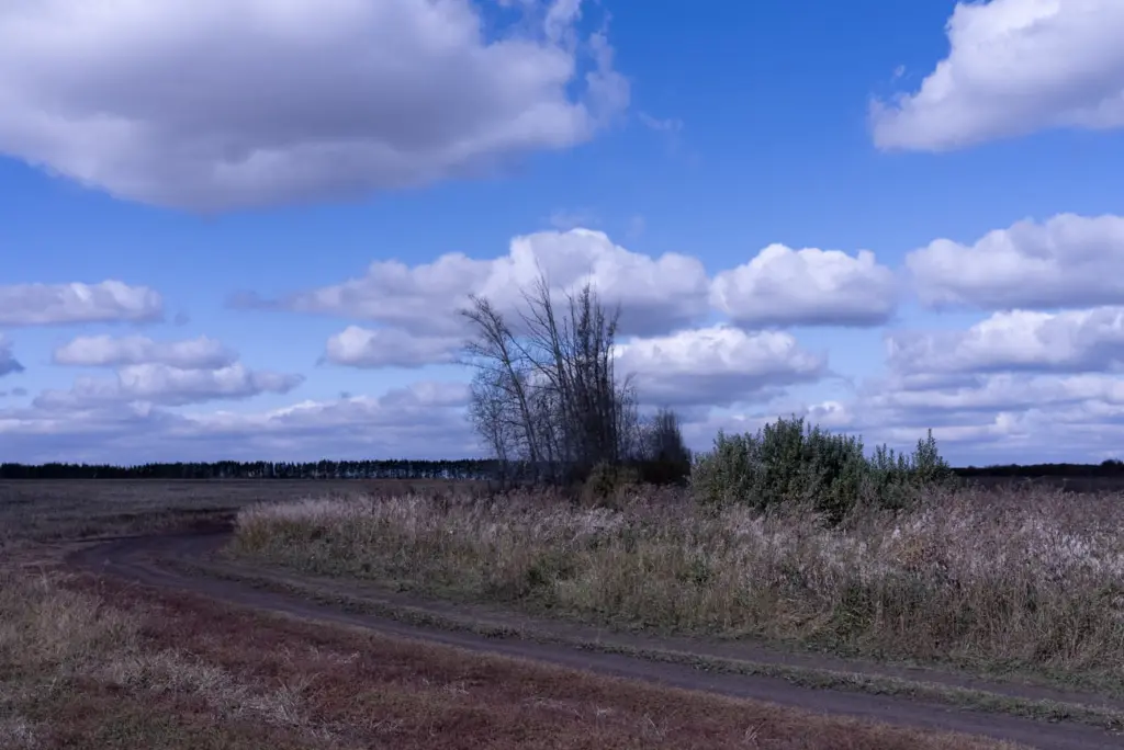 Фото: Владимир Севриновский