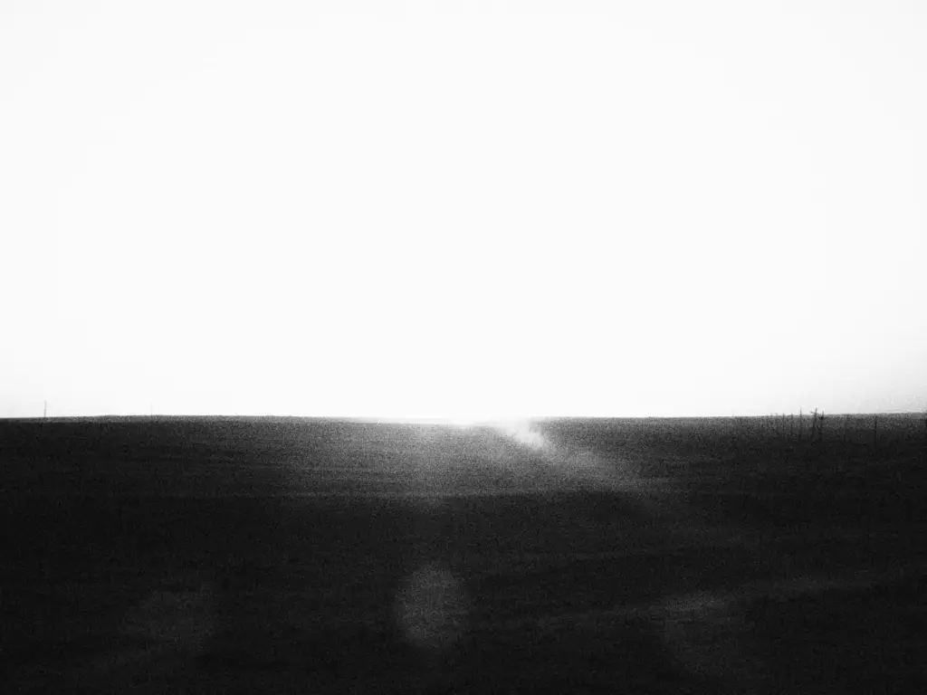 Фото: Новая вкладка