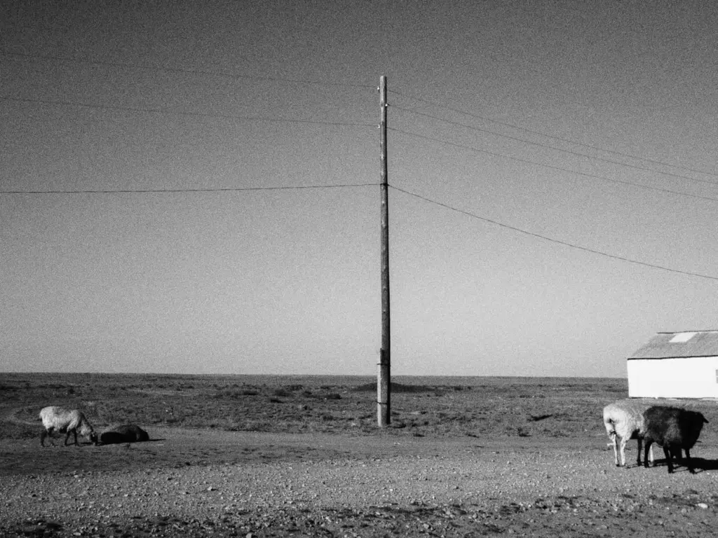 Фото: Новая вкладка