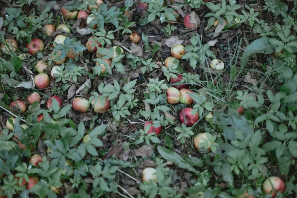 Фото: Лиза Жакова для НВ