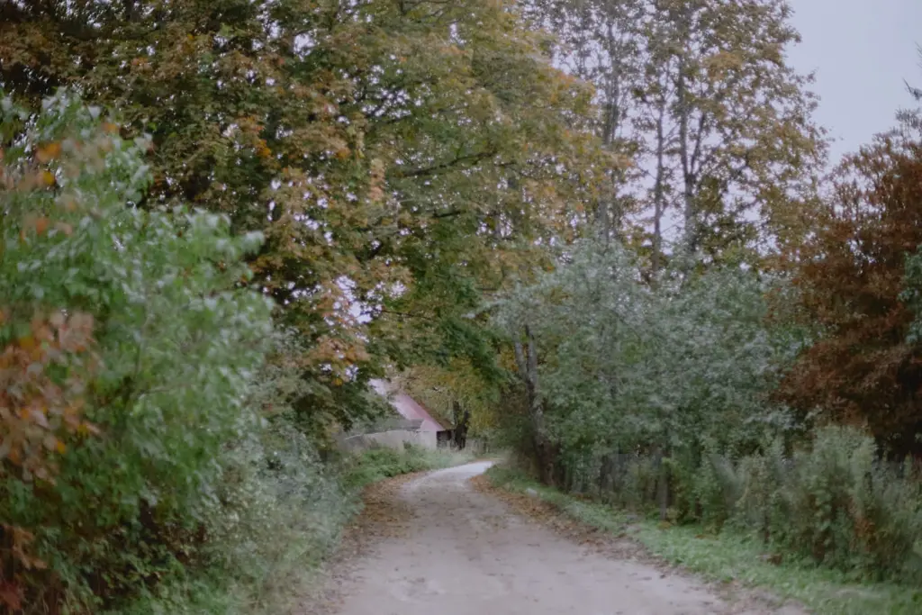 Фото: Лиза Жакова для НВ