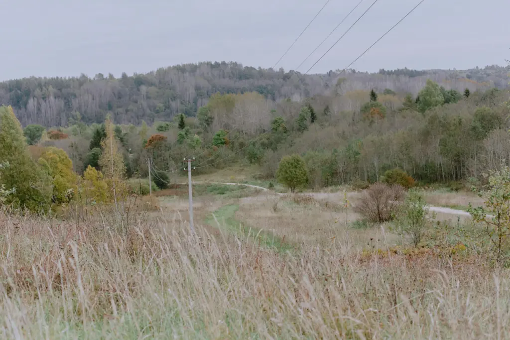 Фото: Лиза Жакова для НВ