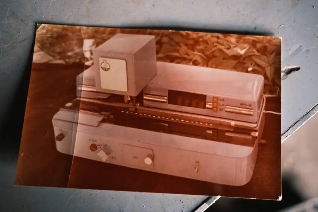 Фото: Алина Десятниченко для НВ