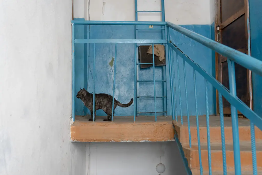 Фото: Новая вкладка