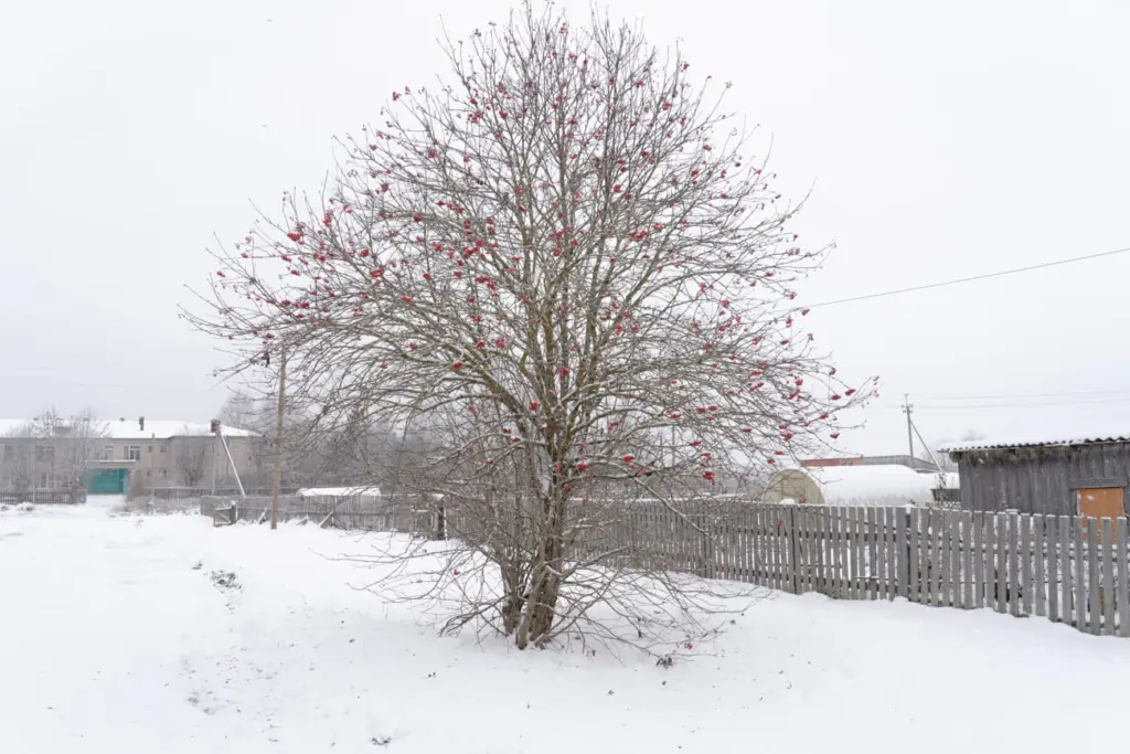 Фото: Новая вкладка