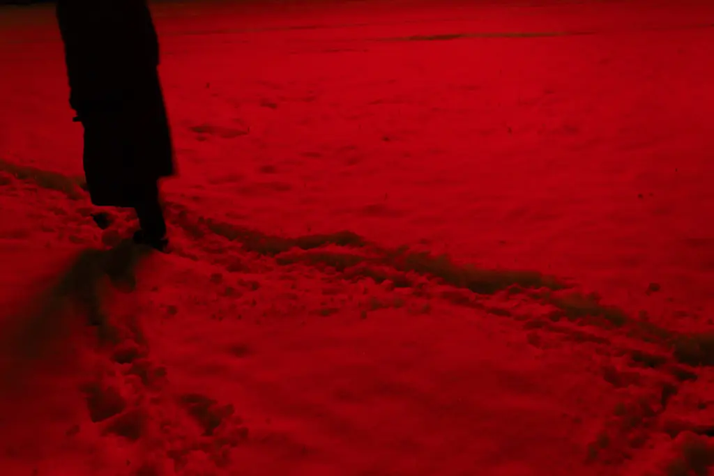 Фото: Новая вкладка