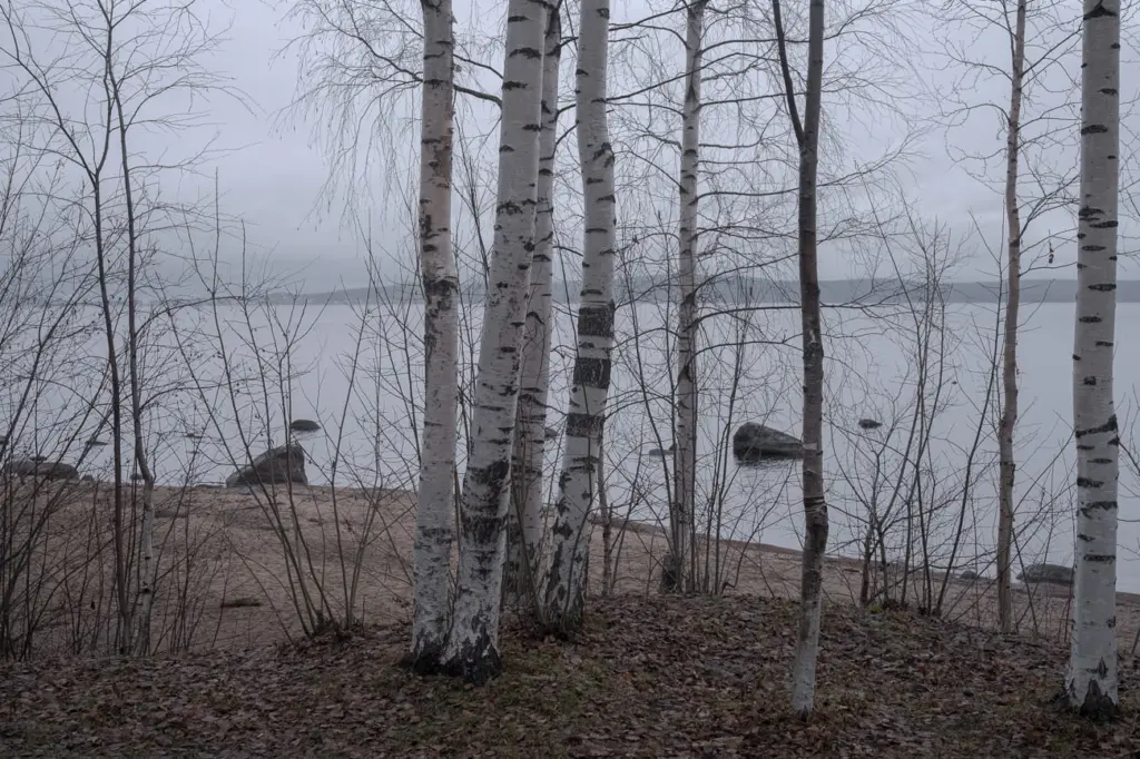 Фото: Наташа Лозинская для НВ