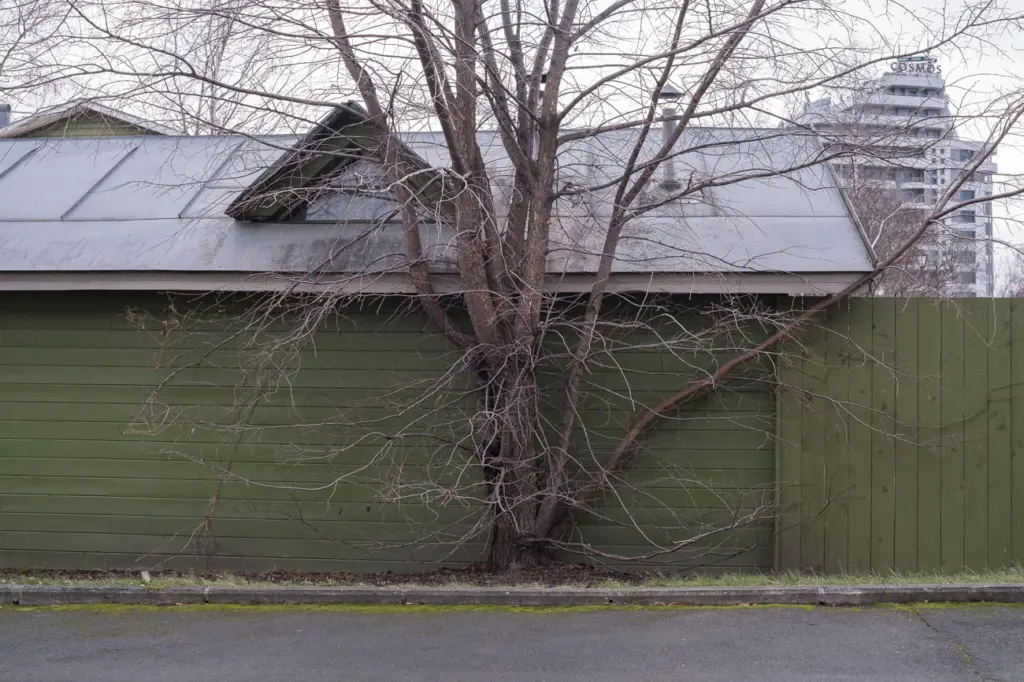 Фото: Наташа Лозинская для НВ