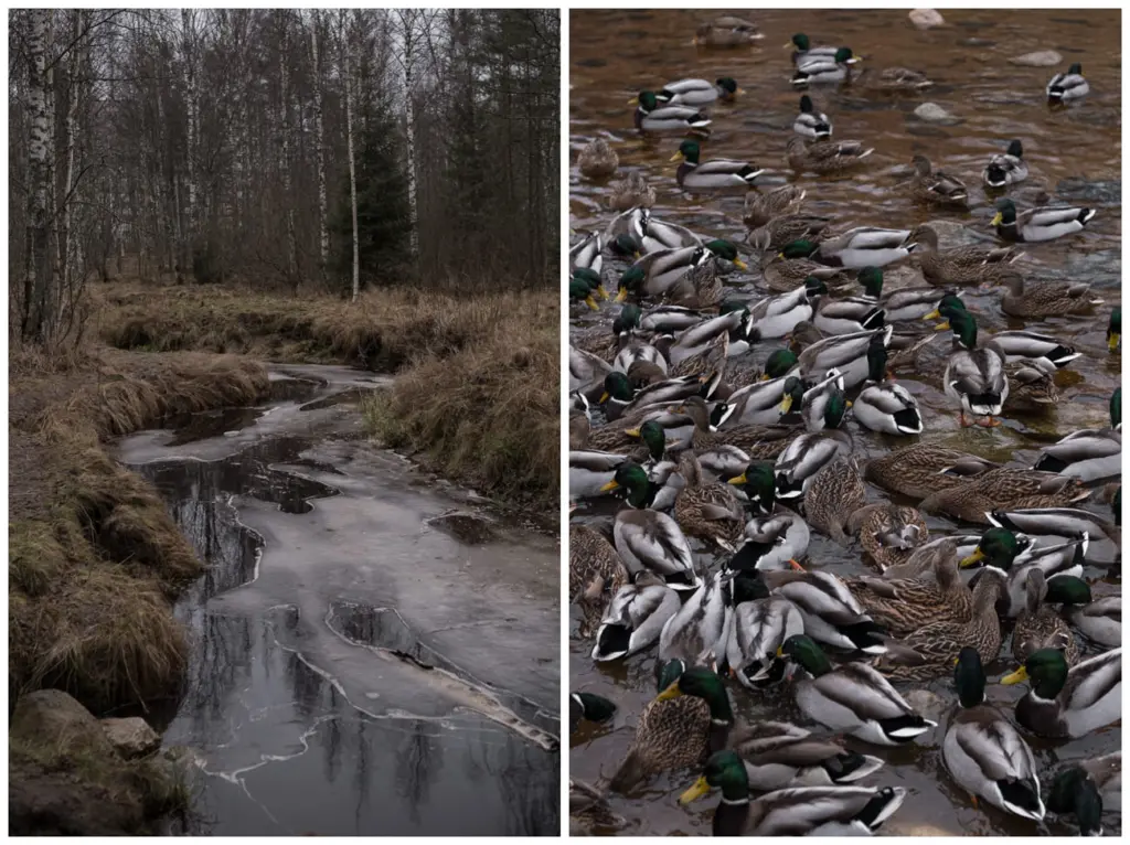 Фото: Наташа Лозинская для НВ