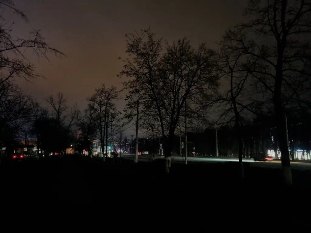 Фото: Виктория Никулина