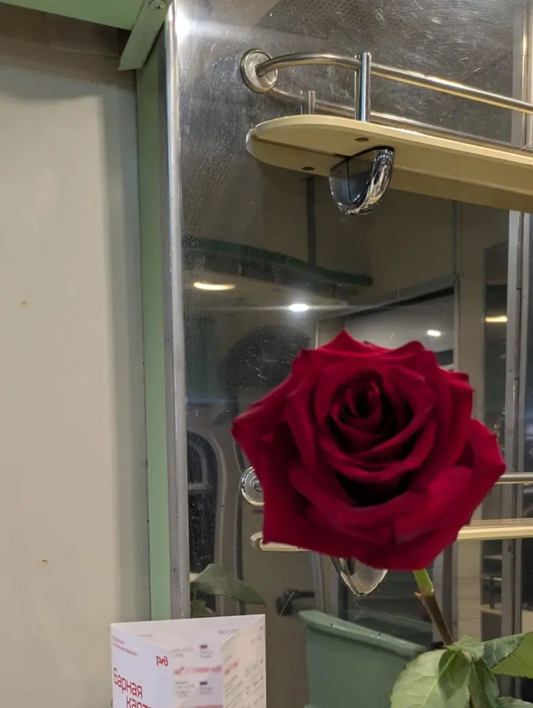 Фото: Новая вкладка