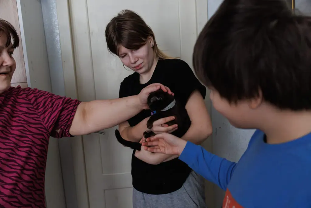 Фото: Новая вкладка