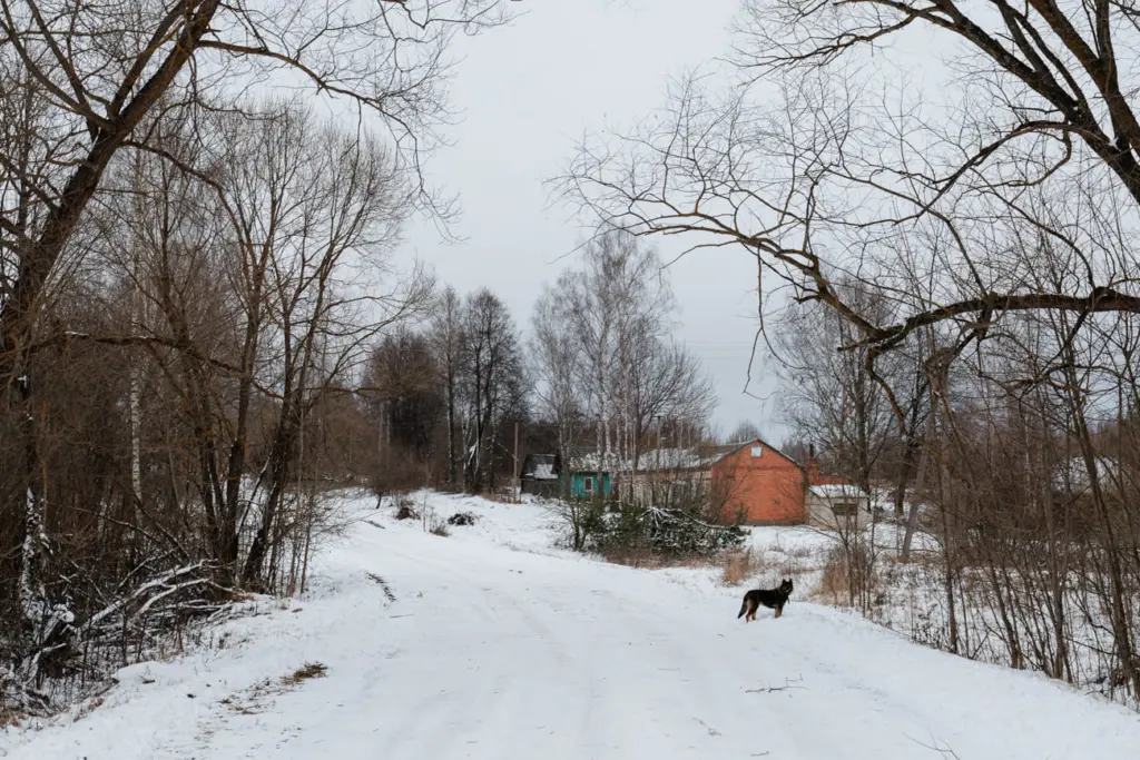 Фото: Новая вкладка