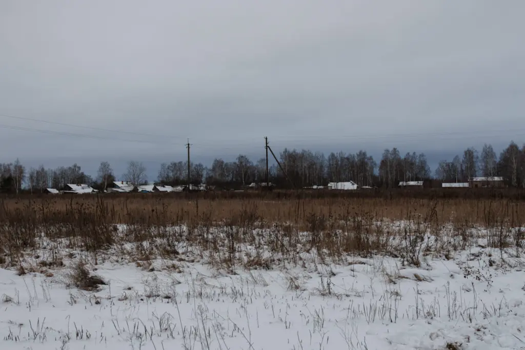 Фото: Новая вкладка