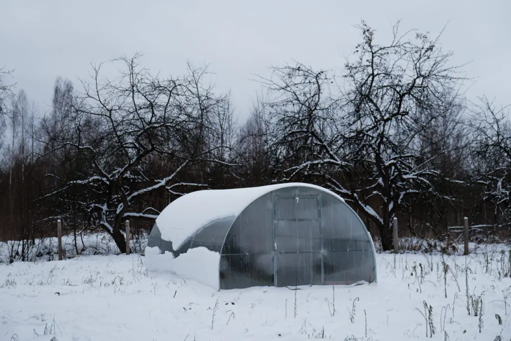 Фото: Новая вкладка