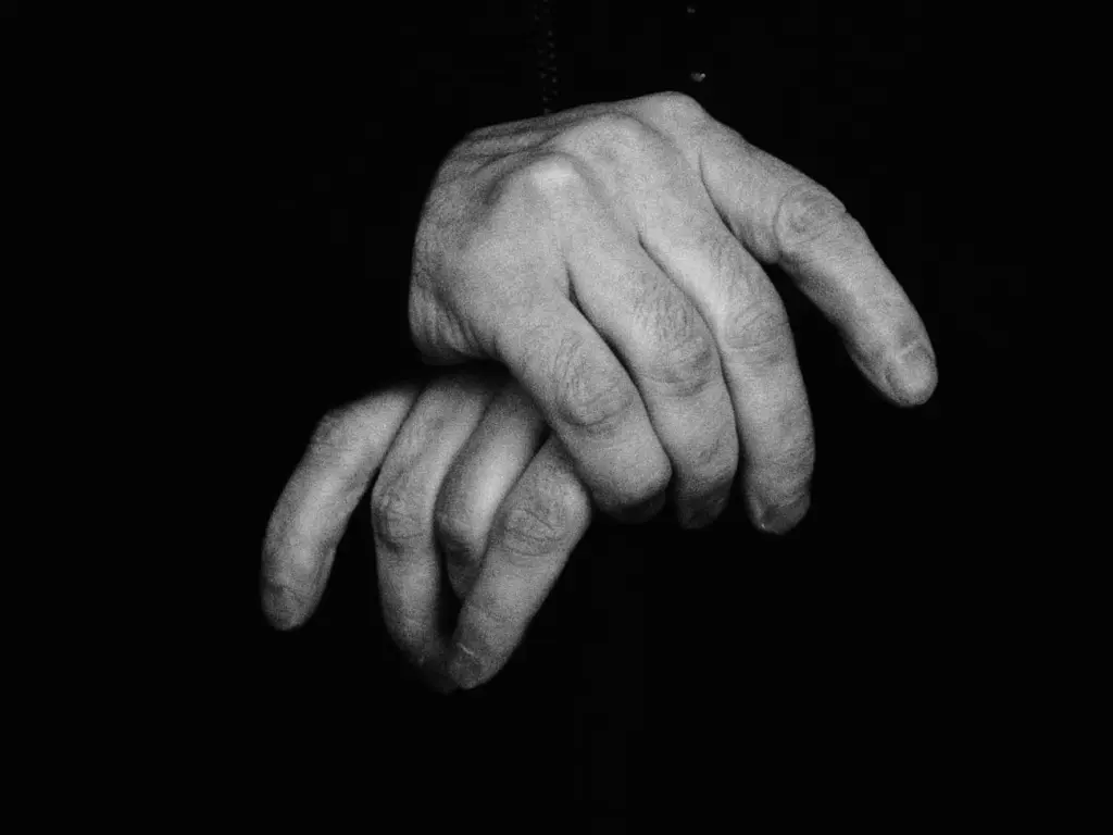 Фото: Новая вкладка