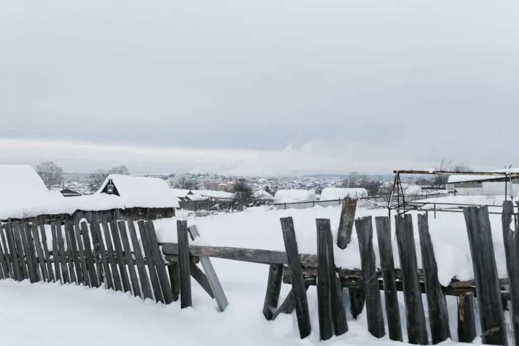 Фото: Новая вкладка