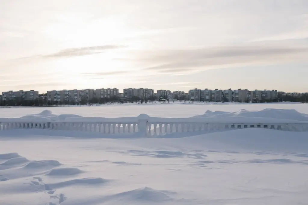 Фото: Новая вкладка