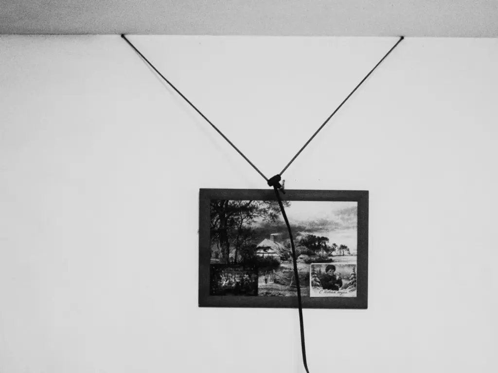 Фото: Новая вкладка