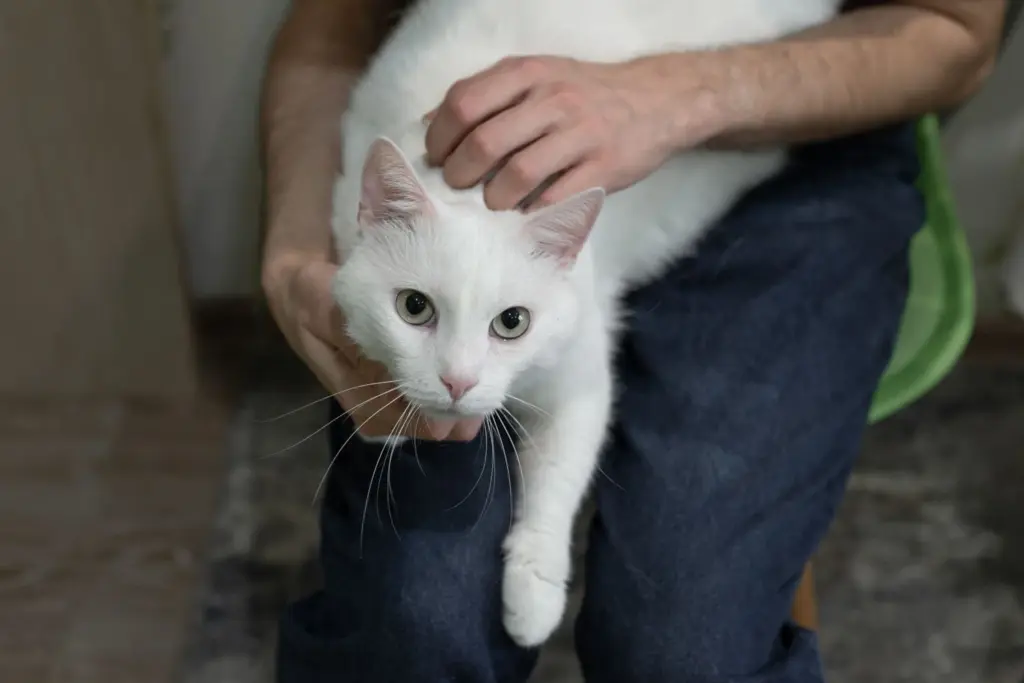 Фото: Репортёрские истории