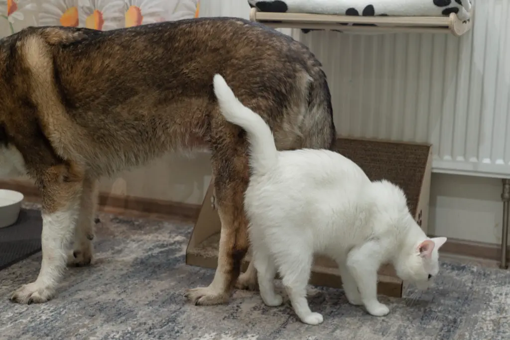 Фото: Репортёрские истории