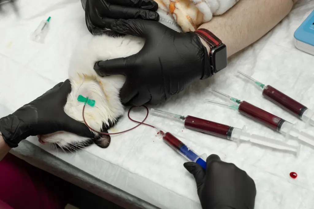 Фото: Репортёрские истории