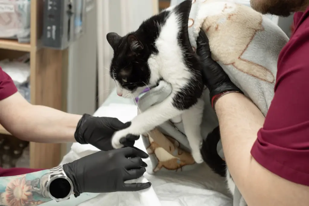 Фото: Репортёрские истории