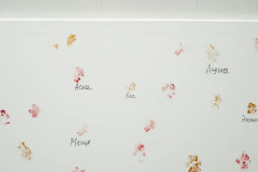 Фото: Репортёрские истории