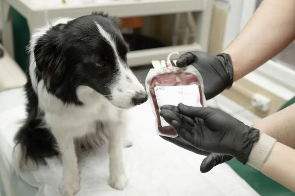 Фото: Репортёрские истории