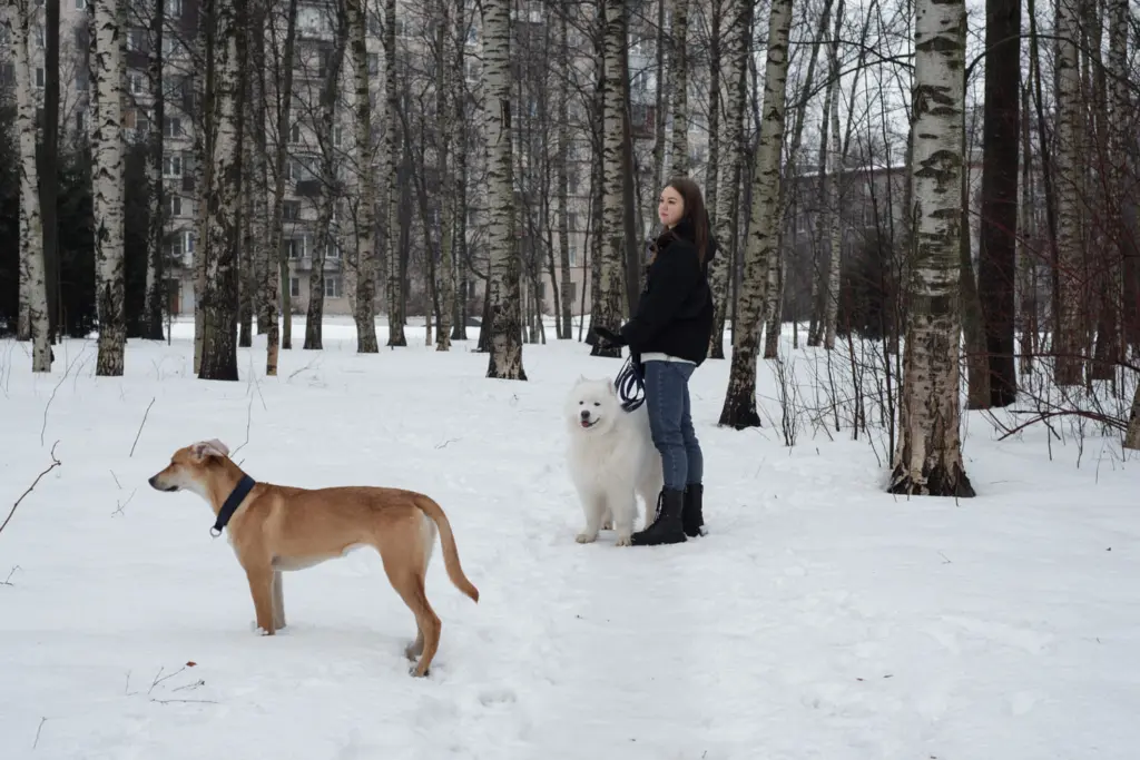 Фото: Репортёрские истории