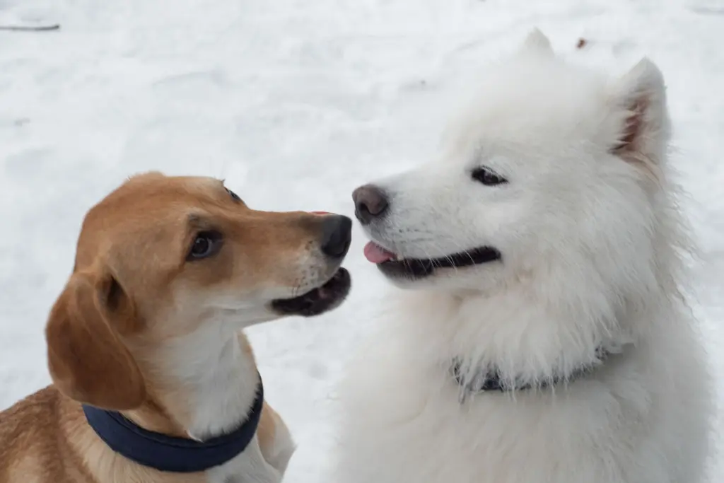 Фото: Репортёрские истории