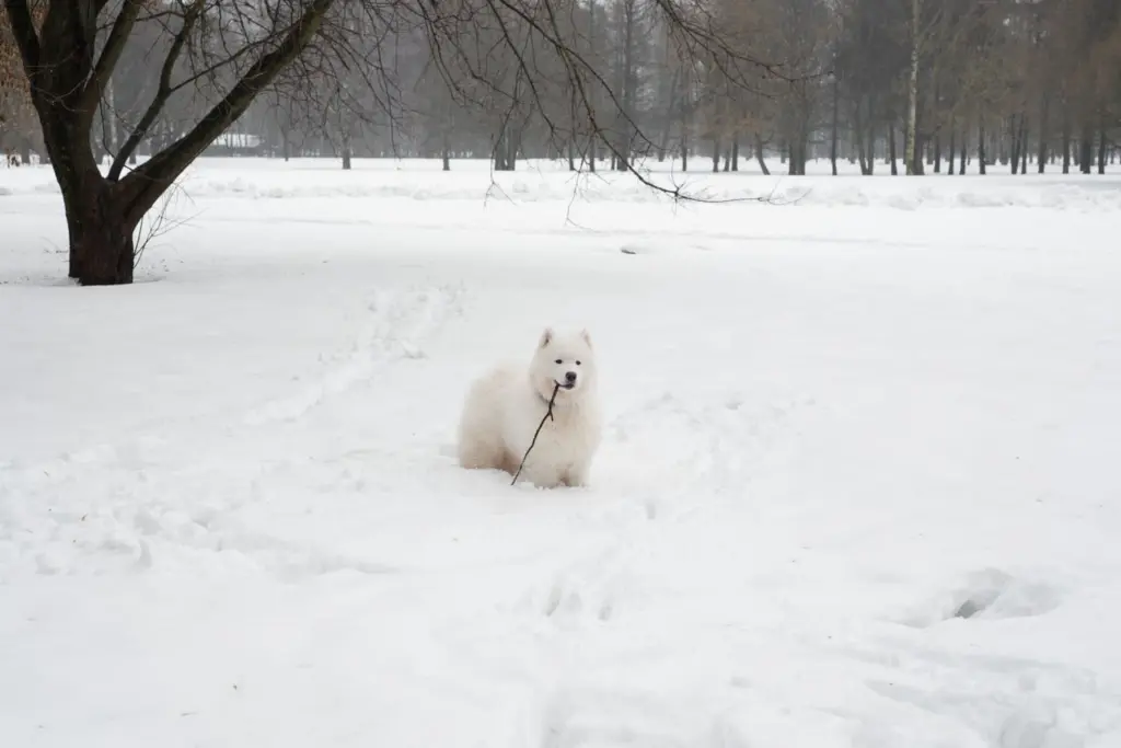 Фото: Репортёрские истории