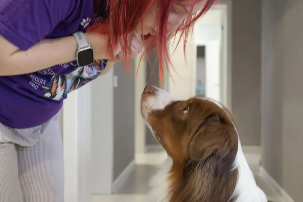 Фото: Репортёрские истории