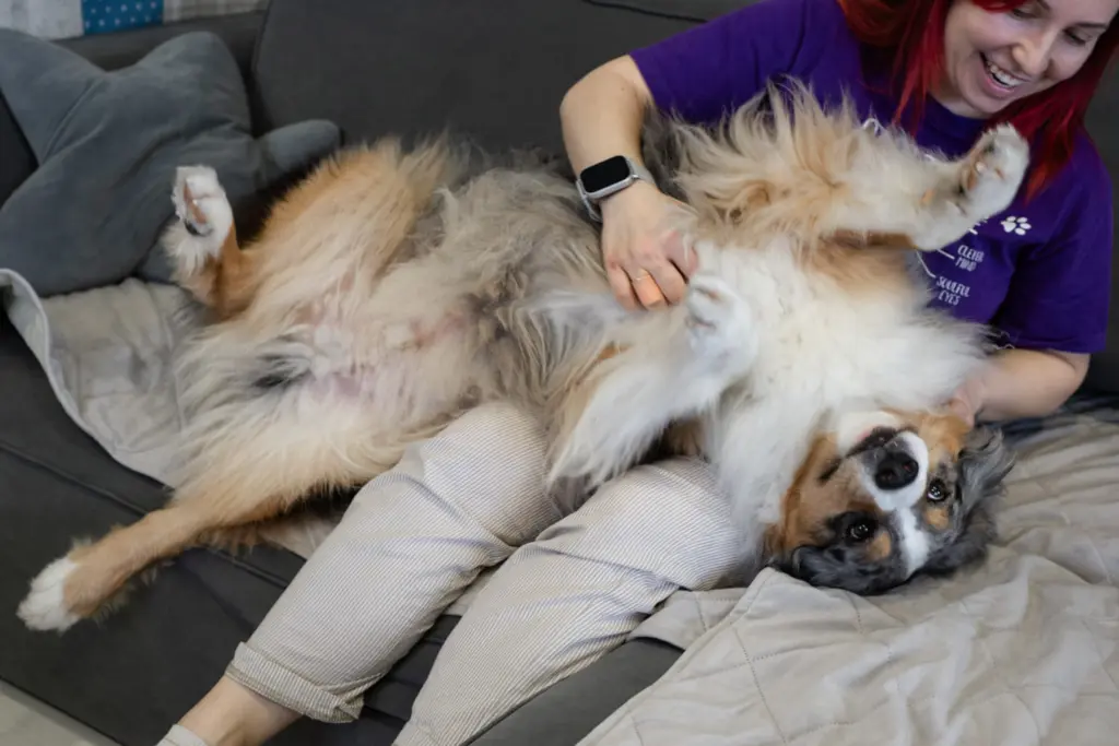 Фото: Репортёрские истории