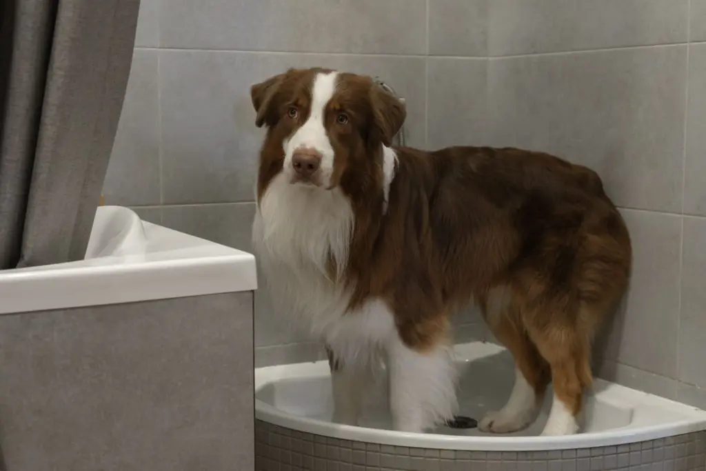 Фото: Репортёрские истории