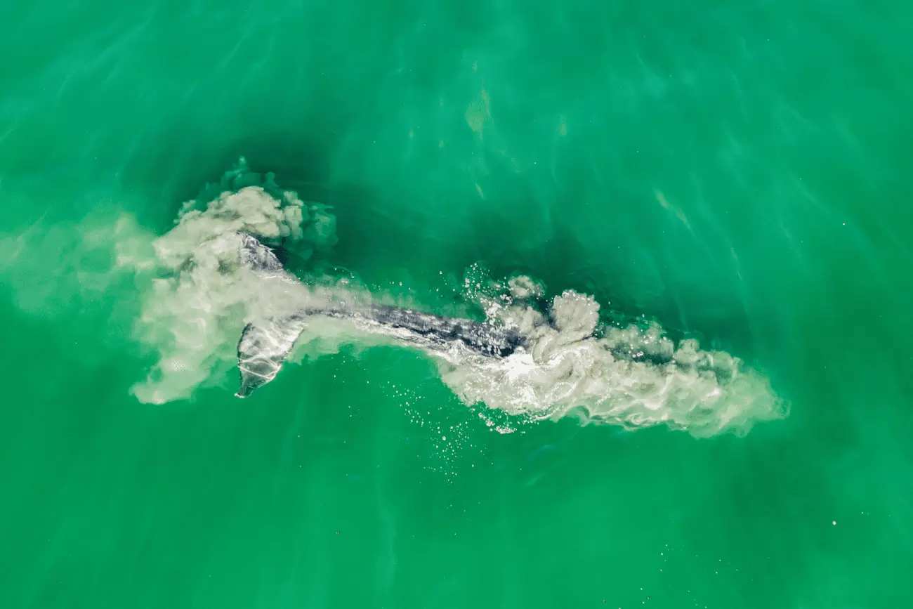 Фото: Владимир Севриновский