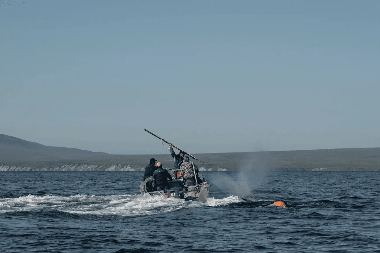 Фото: Владимир Севриновский