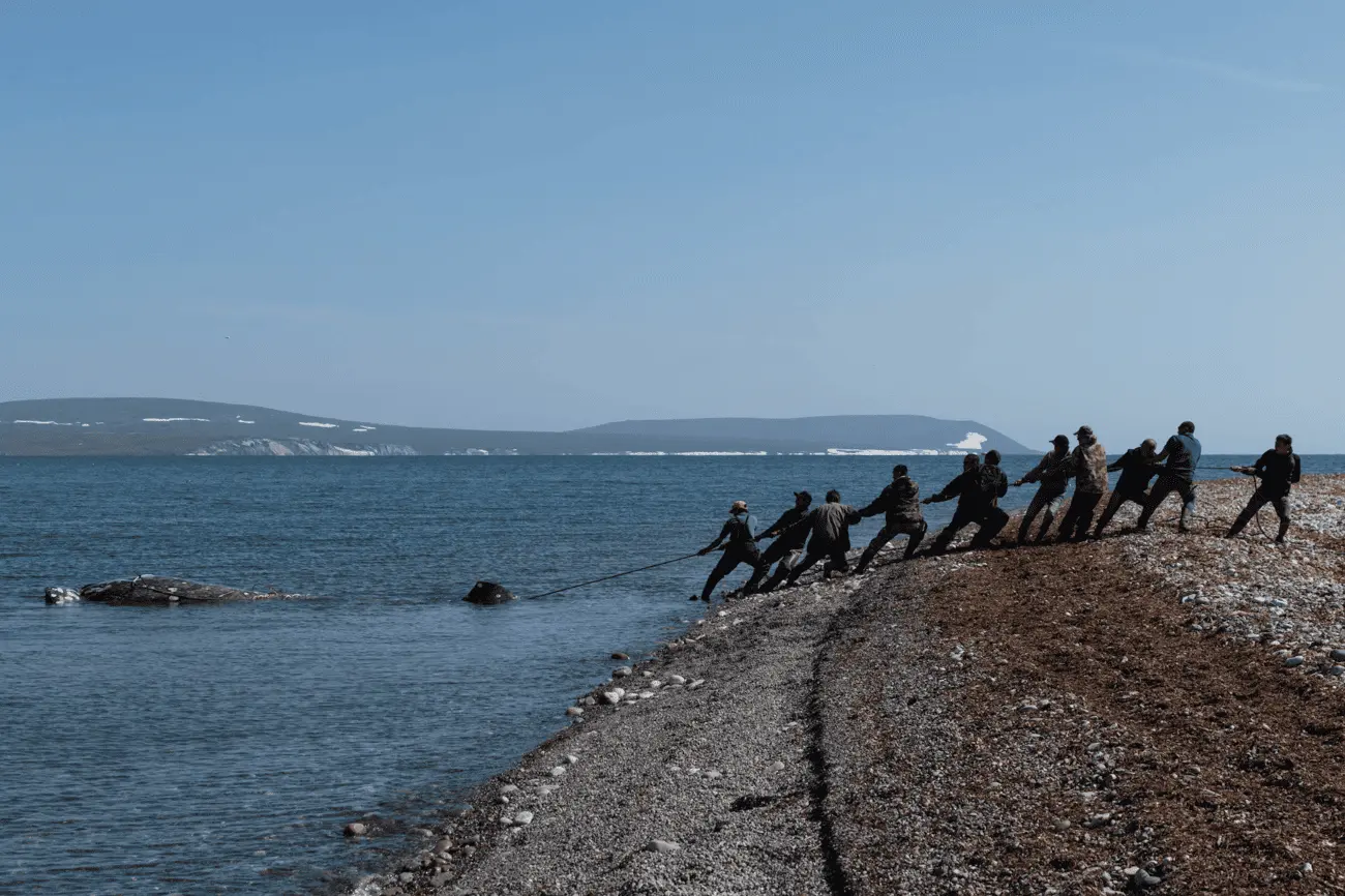 Фото: Владимир Севриновский