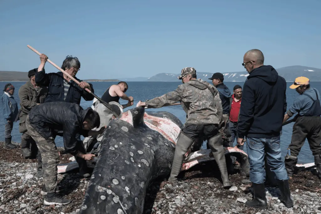 Фото: Владимир Севриновский