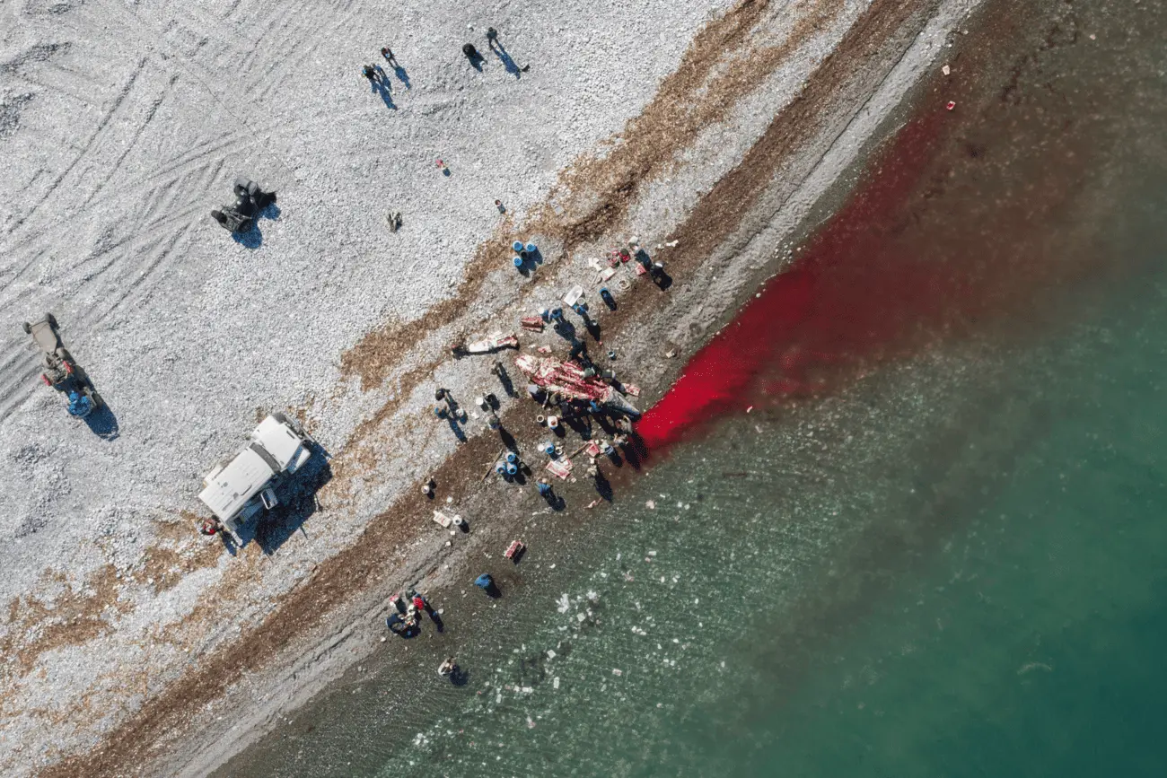 Фото: Владимир Севриновский