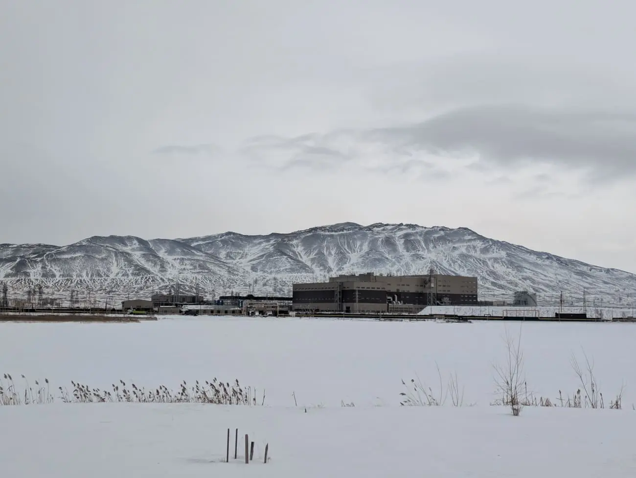 Фото: Леся Сарнавская