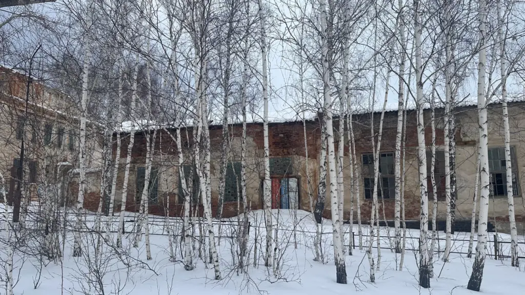 Фото: Леся Сарнавская