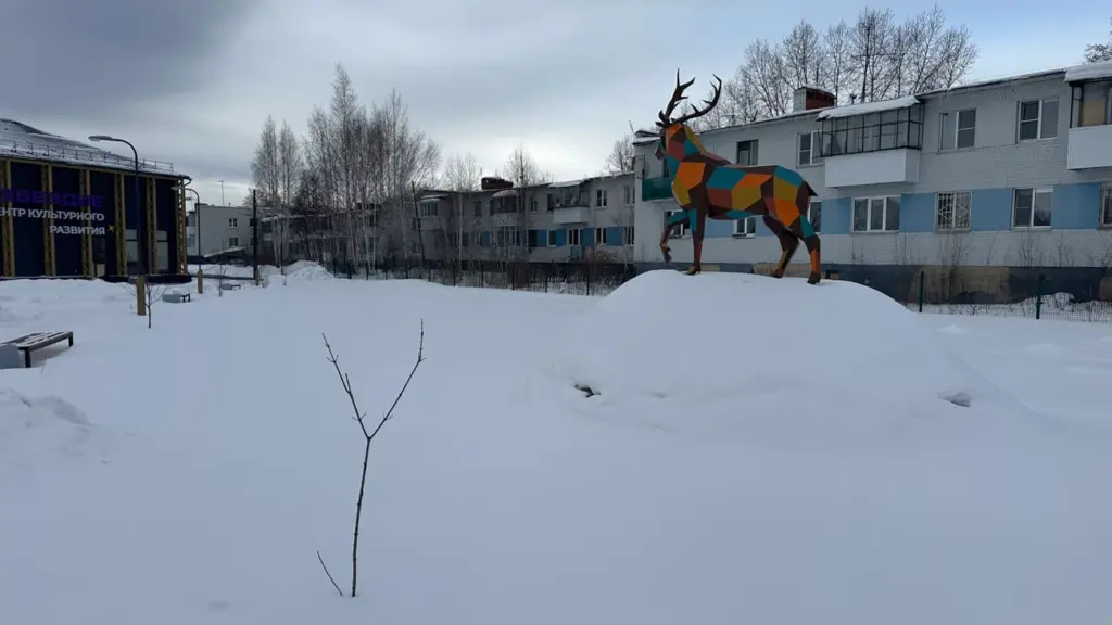 Фото: Леся Сарнавская